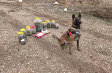 Karaman’da uyuşturucu operasyonu: 1 gözaltı