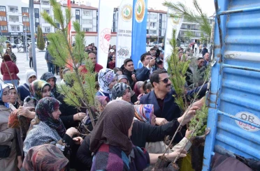 Karapınar’da ağaçlandırma etkinliği 