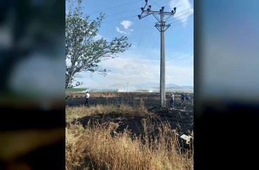Karapınar’da buğday ekili tarlada yangın paniği