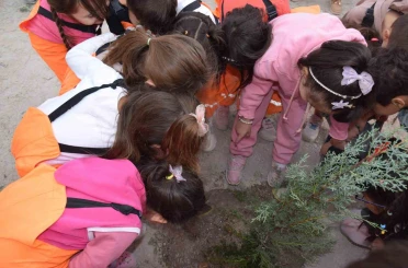 Karapınar’da minikler yeşil çevre için fidan dikti 