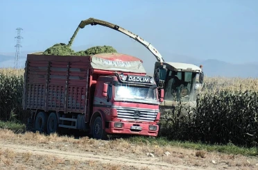 Karapınar’da mısır hasadı başladı 