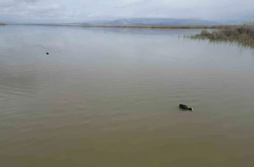 Karaya oturan kayıklar, su seviyesi artınca yüzmeye başladı, ortaya çıkan adacıklar yok oldu 
