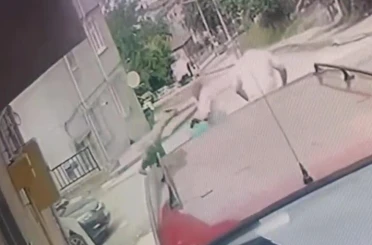 Kardeş katliamının zanlısı teslim oldu 