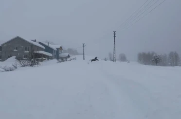 Karın tadını çıkarmak için İstanbul’dan Sivas’a akın ettiler 