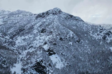 Karla birlikte meşe ormanı beyaza büründü 