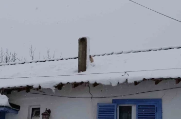 Karla kaplı çatıda mahsur kalan minik köpek kurtarıldı 