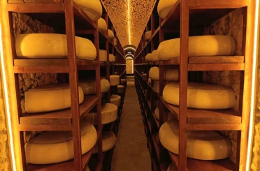 Kars Peynir Müzesi yoğun ilgi görüyor 