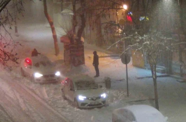 Kars’ta beyaz esaret: Tipiden göz gözü görmüyor 