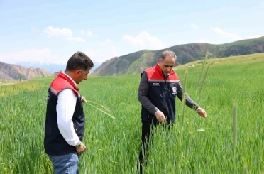 Kars’ta fenolojik gözlem çalışmaları sürüyor 