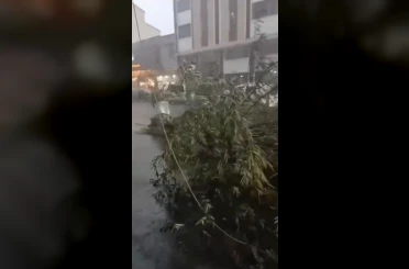 Kars’ta fırtına çatıları uçurdu, ağacı kökünden söktü 
