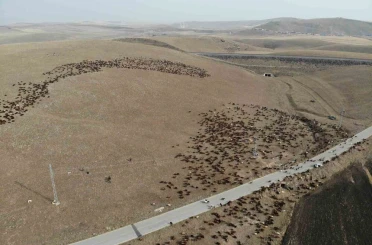 Kars’ta göçerlerin zorlu yolculuğu başladı 