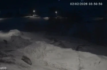 Kars’ta kurtlar köylerde cirit atıyor 