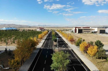 Kars’ta renk tonuna bürünen ağaçlar büyüledi