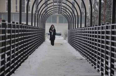 Kars’ta soğuktan ağaçlar kırağı tuttu 