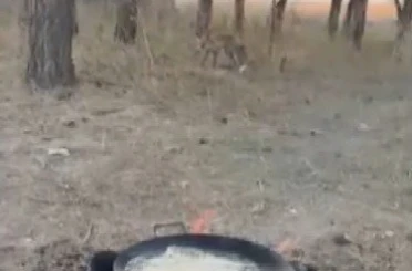 Kars’ta tilkiler yerleşim yerlerinde cirit atıyor 