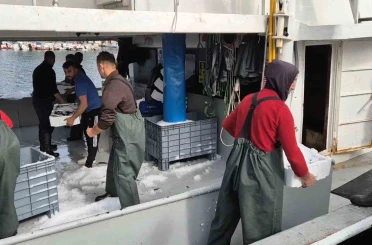 Kasa kasa balıkla döndüler:Tekirdağlı balıkçıların yüzü gülüyor 