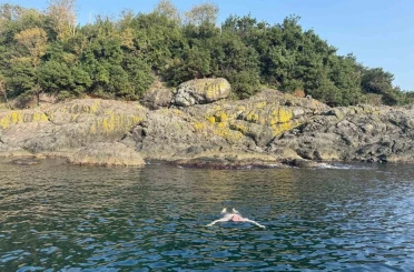 Kasımda deniz keyfi: Giresun Valisi Serdengeçti, adada yüzdü 