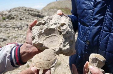 Kastamonu-Çankırı sınırındaki 2 bin 587 rakımlı dağın zirvesinde deniz fosilleri bulundu 