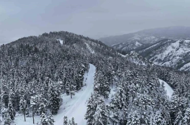Kastamonu ormanlarında kış güzelliği 
