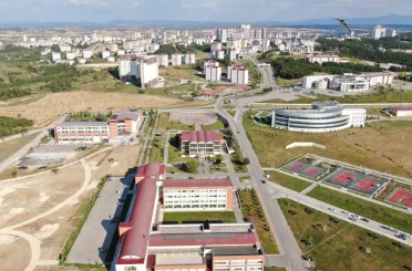 Kastamonu Üniversitesi, bezelye kabuklarından biyokömür üretecek 