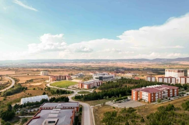 Kastamonu Üniversitesi’nin kayın kontrplak üretimine yönelik çalışması tescillendi 