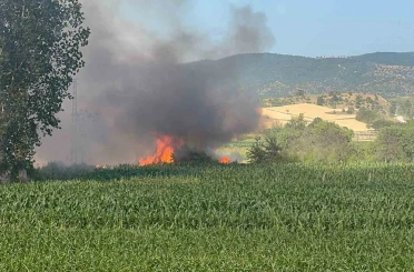 Kastamonu’da buğday tarlası alev alev yandı 