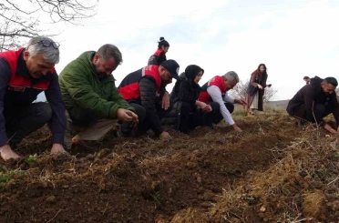 Kastamonu’da kadınlara güç veren proje: 38 bin fide dağıtımı yapıldı 
