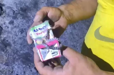 Kastamonu’da küle dönen ormanda sağ bulunan yavru yılan görenleri şaşırttı 