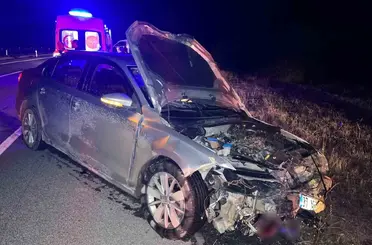 Kastamonu’da otomobil domuz sürüsüne çarptı: 2 yaralı