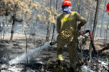 Kastamonu’daki orman yangını söndürüldü 