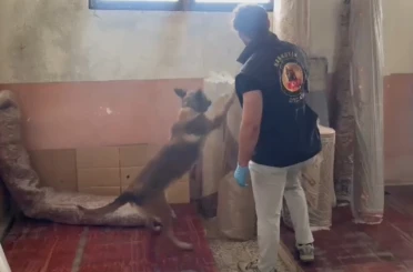 Kastamonu’daki uyuşturucu operasyonunda 5 şüpheli tutuklandı 