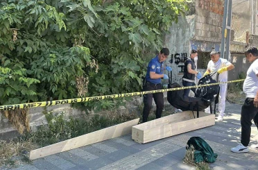 Kaybolan kedisini ararken ceset buldu 