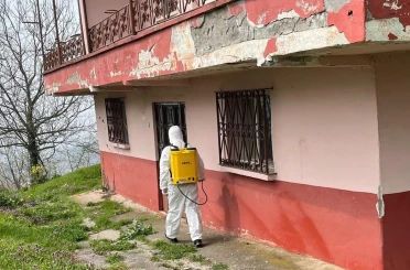 Kaynaşlı ve Yığılca’da Kahverengi Kokarcayla mücadele sürüyor 