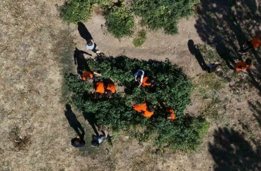 Kayseri’de ilkokul öğrencileri meyve bahçelerinde üretim yapıyor 