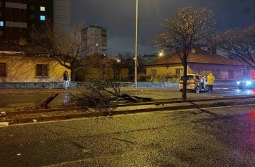 Kaza savrulan otomobil ağacı ikiye böldü: 4 yaralı 