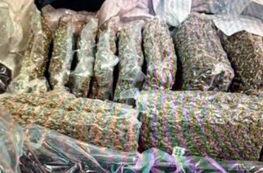 Kazakistan’da bagajında 21 kilo esrar taşıyan kadın gözaltına alındı 