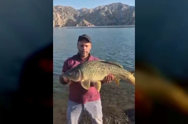 Keban Baraj Gölü’nde 10 kiloluk sazan yakalandı 