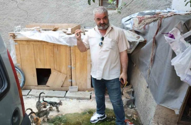 Kedi maması çalan hırsız vatandaşı canından bezdirdi 