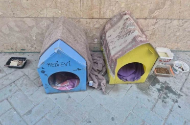 Kediler için yaptığı evler için vicdanlara seslendi, "Lütfen dokunmayalım" 