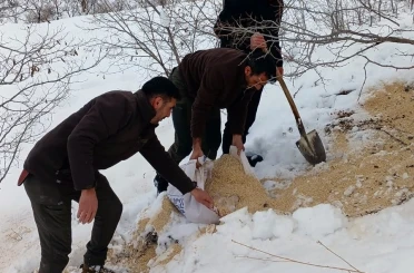 Kemah’ta yaban hayatı unutulmadı 