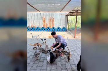 Kemer’de haziran ayında 189 sokak hayvanı kısırlaştırıldı 
