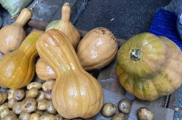 Kendisi ayrı, çekirdeği ayrı şifa kaynağı 