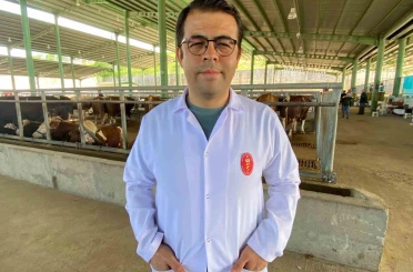 Kene tehdidine dikkat: 200’den fazla hastalık etkeni taşıyabiliyor 