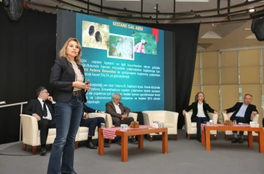 Kestane Büyükşehir’le filizleniyor 