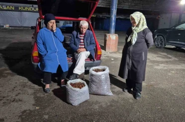 Kestane rekoltesi kuraklık sebebiyle düştü 