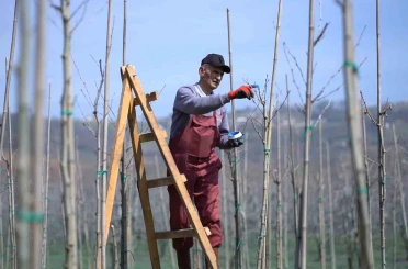 Kestel’de bahar mesaisi 