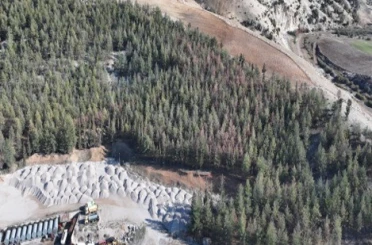 Kilis’te Akdeniz çam kabuk böceğine karşı biyoteknik mücadele 