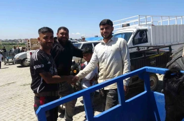 Kilis’te kurbanlık pazarında hareketlilik arttı 