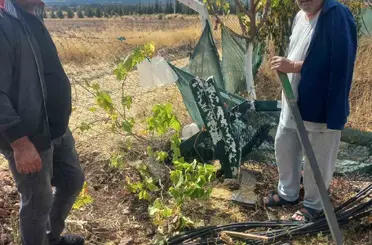 Kimliği belirsiz kişiler bahçe tellerine zarar verdi
