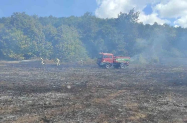 Kırklareli’nde örtü yangını: 25 dekar alan zarar gördü 